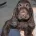 Field Spaniel