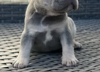 BETTY