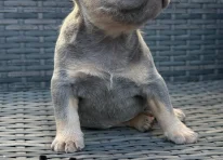HUGO