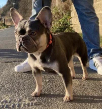 Coco