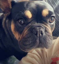 Gabby