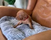 Hungarian Vizsla