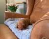 Hungarian Vizsla