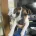 Jack Russell