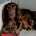 Cocker Spaniel (Working)