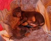 Doberman