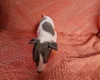 Whippet