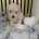 Maltipoo
