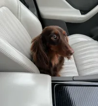chocolate bueno