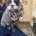 English Bulldog
