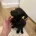 Patterjack