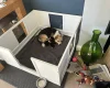 Welsh Corgi Pembroke