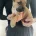 Presa Canario