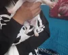 Staffordshire Bull Terrier
