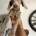 Weimaraner