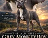 Staffordshire Bull Terrier