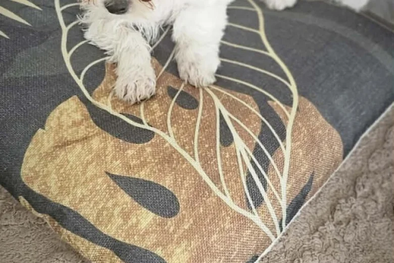Maltese