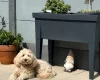 Tibetan Terrier