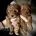 Toy Poodle