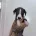 Whippet