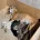 Lurcher