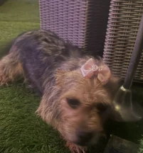Marnie
