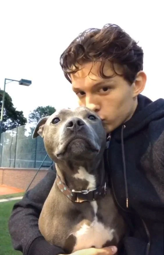 Tom Holland and his dog Tessa