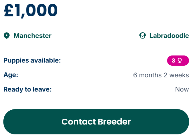 contact-breeder-button-example
