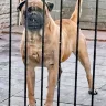 Mel Howell