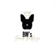 Seller BM French Bulldogs