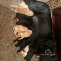 Seller Allison Purdie