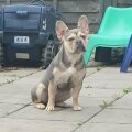 Seller Grace