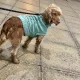 Seller Lucy