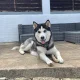Seller Erika Sambo