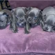 Seller Cerie McClure