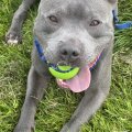 Seller Cassie Mcdonald