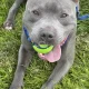 Seller Cassie Mcdonald