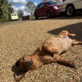 Seller Morgan Martindale