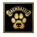 Dachdazzle
