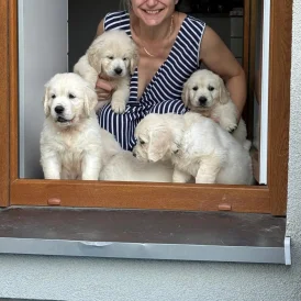 katarzyna Wiecha