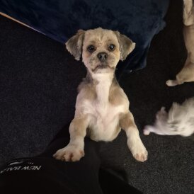 Margaret-Rose Sneddon