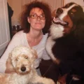 MacDoodles - Labradoodle Association Assured Breeder